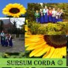 Wieści z Gdańska - Cecyliada